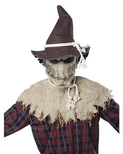 Spirit Halloween Animotion Scarecrow Full Mask