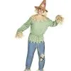 Spirit Halloween Adult Scarecrow Costume -Costume Themes Shop 01312115 a