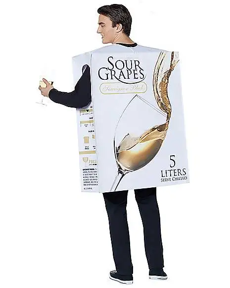 Spirit Halloween Adult Box Of Wine Costume 4 Spirit Halloween Adult Box Of Wine Costume - Image 2