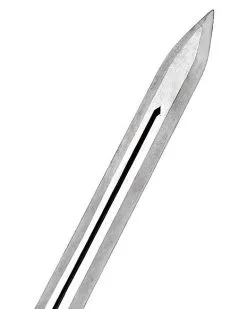 Spirit Halloween Lion Sword 7 Spirit Halloween Lion Sword -Costume Themes Shop 01424944 c