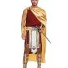 Spirit Halloween Adult Apollo Costume 2 Spirit Halloween Adult Apollo Costume -Costume Themes Shop 01519875 a