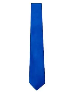 Spirit Halloween Royal Blue Tie