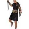 Spirit Halloween Adult Roman Sun Warrior Costume -Costume Themes Shop 01551076 a