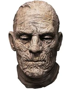 Spirit Halloween The Mummy Full Mask - Universal Classic Monsters
