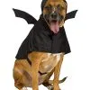 Spirit Halloween Bat Pet Costume 1 Spirit Halloween Bat Pet Costume -Costume Themes Shop 01579820 a