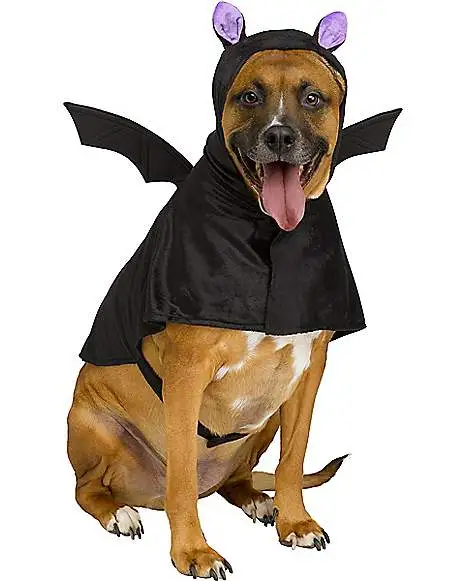Spirit Halloween Bat Pet Costume 1 Spirit Halloween Bat Pet Costume -Costume Themes Shop 01579820 a