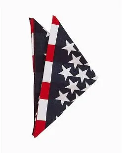 Spirit Halloween American Flag Bandana