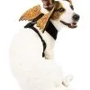 Spirit Halloween Orange Web Wings Pet Harness 2 Spirit Halloween Orange Web Wings Pet Harness -Costume Themes Shop 07466394 a