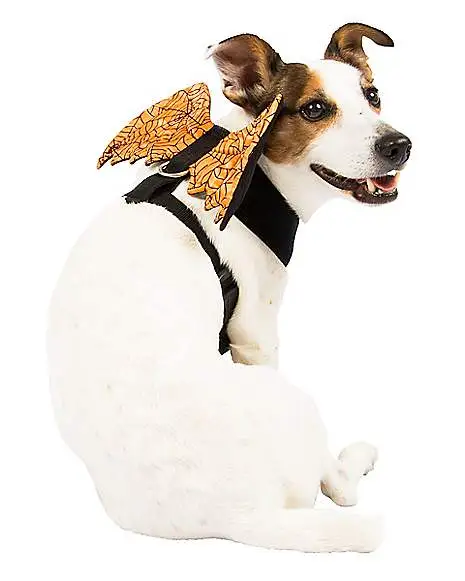 Spirit Halloween Orange Web Wings Pet Harness 3 Spirit Halloween Orange Web Wings Pet Harness