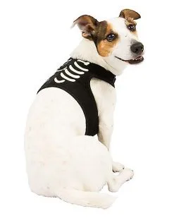 Spirit Halloween Skeleton Pet Harness