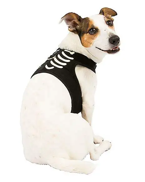 Spirit Halloween Skeleton Pet Harness 3 Spirit Halloween Skeleton Pet Harness