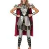 Spirit Halloween Adult Medieval Warrior Costume 2 Spirit Halloween Adult Medieval Warrior Costume -Costume Themes Shop 07530678 a