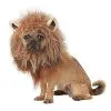 Spirit Halloween King Of The Jungle Pet Costume -Costume Themes Shop 07581432 a