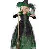 Spirit Halloween Toddler Green Witch Costume 1 Spirit Halloween Toddler Green Witch Costume -Costume Themes Shop 07651003 a